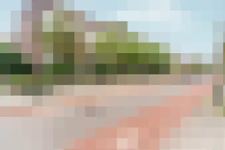 Rosendaalsestraat 377 Arnhem thumbnail 73