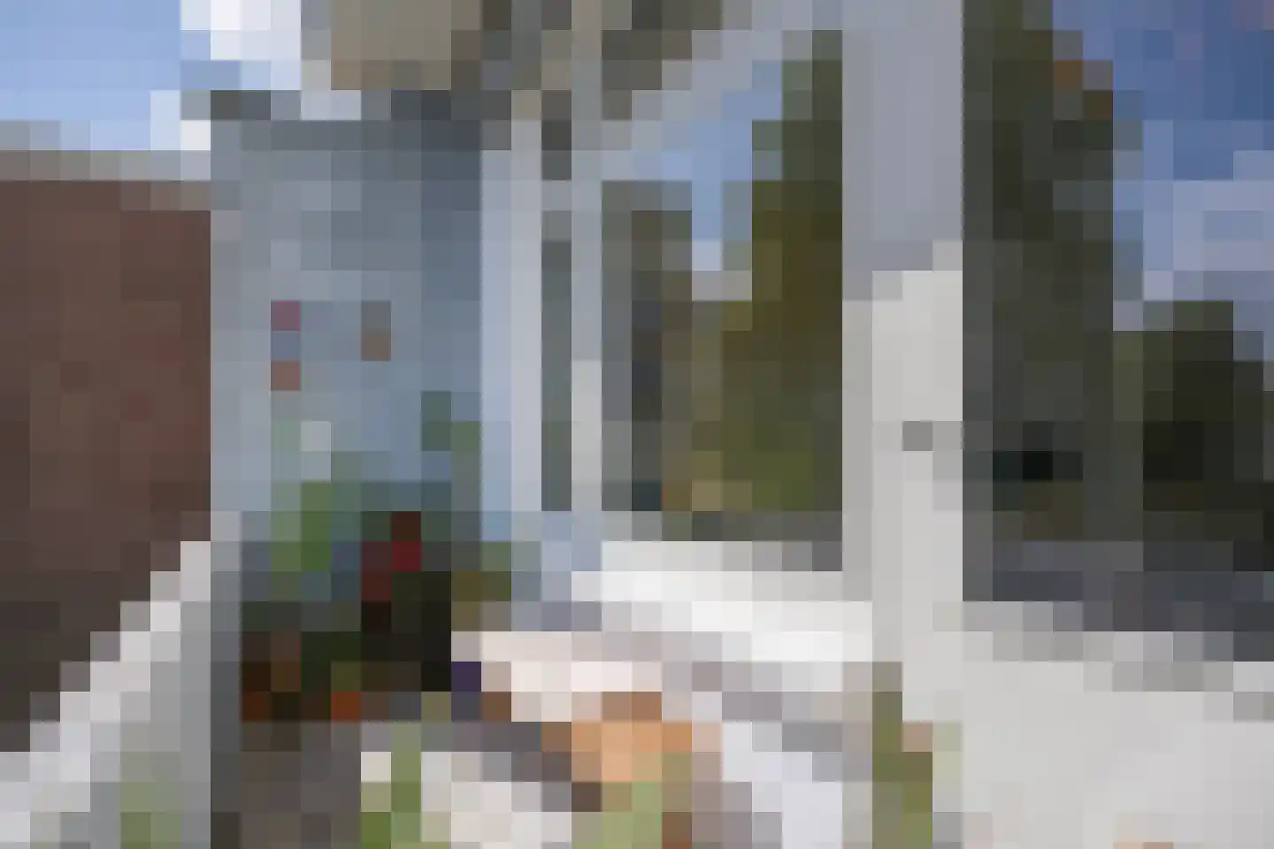 Rosendaalsestraat 438 Arnhem thumbnail 26