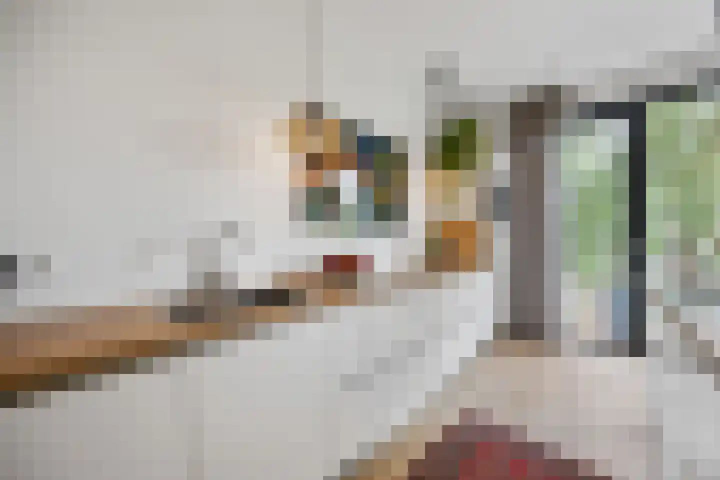 Rosendaalseweg 491 Arnhem thumbnail 28