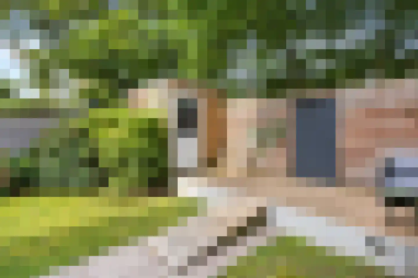 Rosendaalseweg 491 Arnhem thumbnail 76