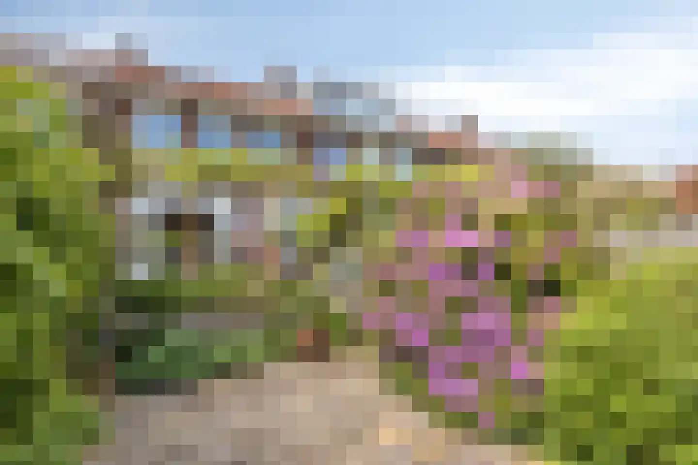 Rosendaalseweg 680 Arnhem thumbnail 25