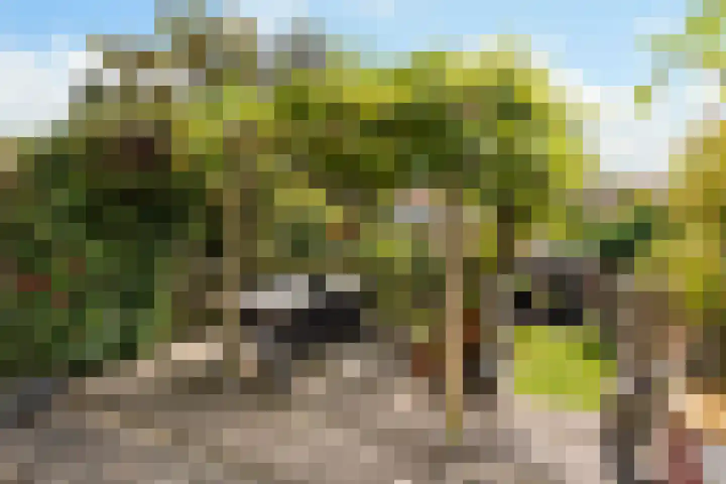 Rosendaalseweg 682 Arnhem thumbnail 17