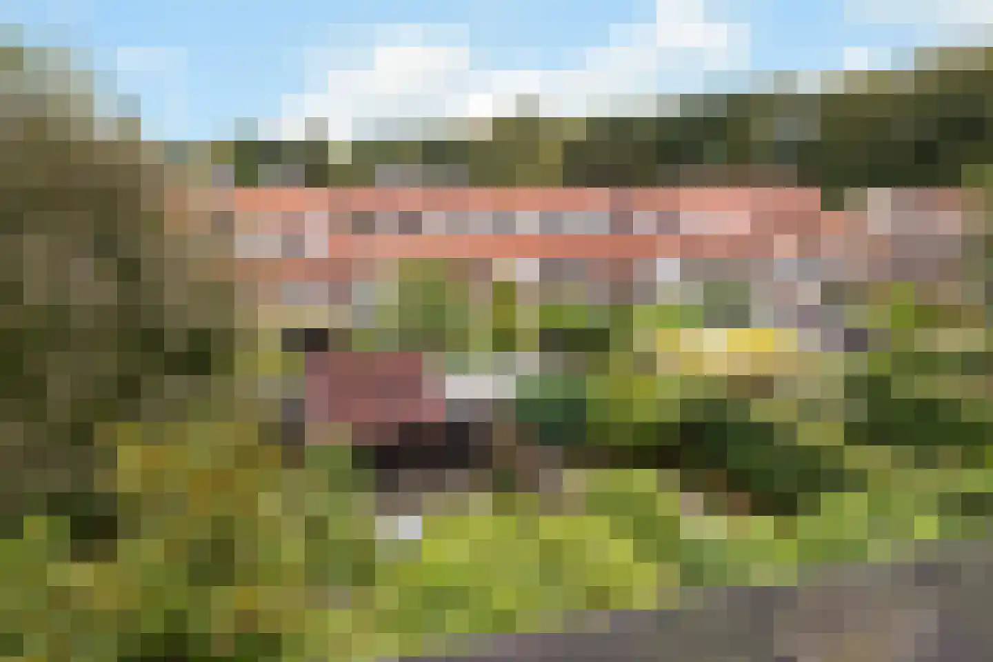 Rosendaalseweg 682 Arnhem thumbnail 43