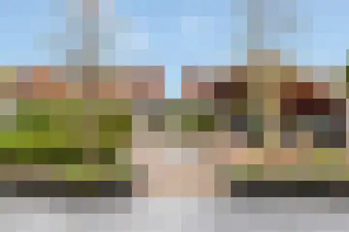 Rosendael 10 Zeewolde thumbnail 45