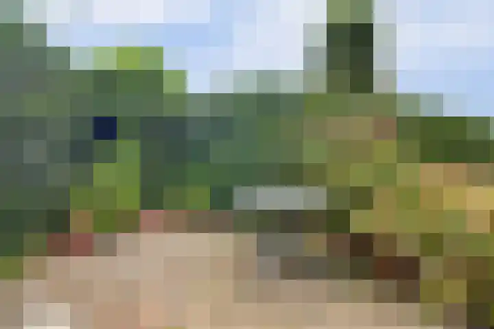 Rosendael 10 Zeewolde thumbnail 48