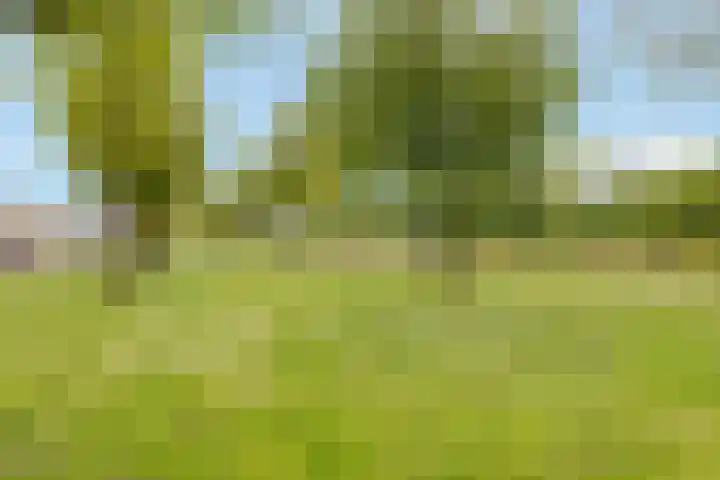 Rosendael 10 Zeewolde thumbnail 52