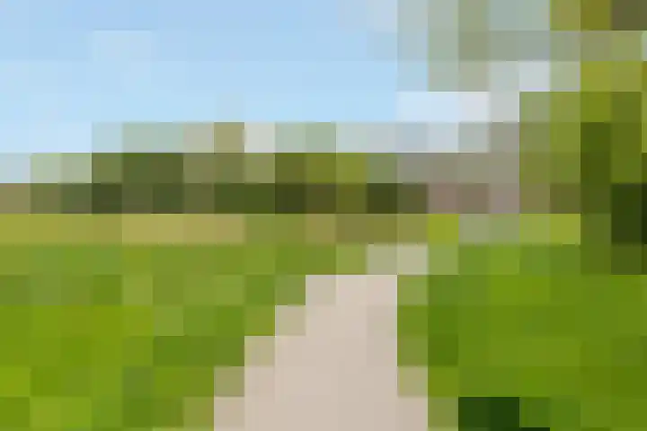 Rosendael 10 Zeewolde thumbnail 54