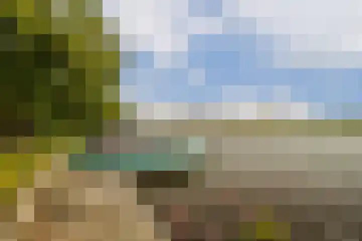 Rosendael 12 Landsmeer thumbnail 13