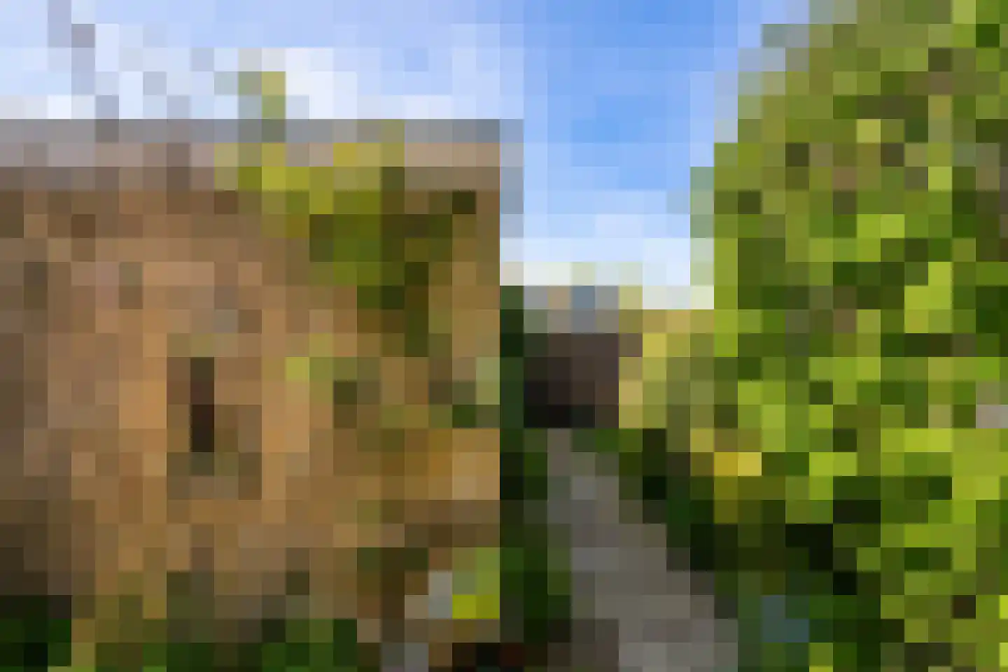 Rosendael 5 Landsmeer thumbnail 17