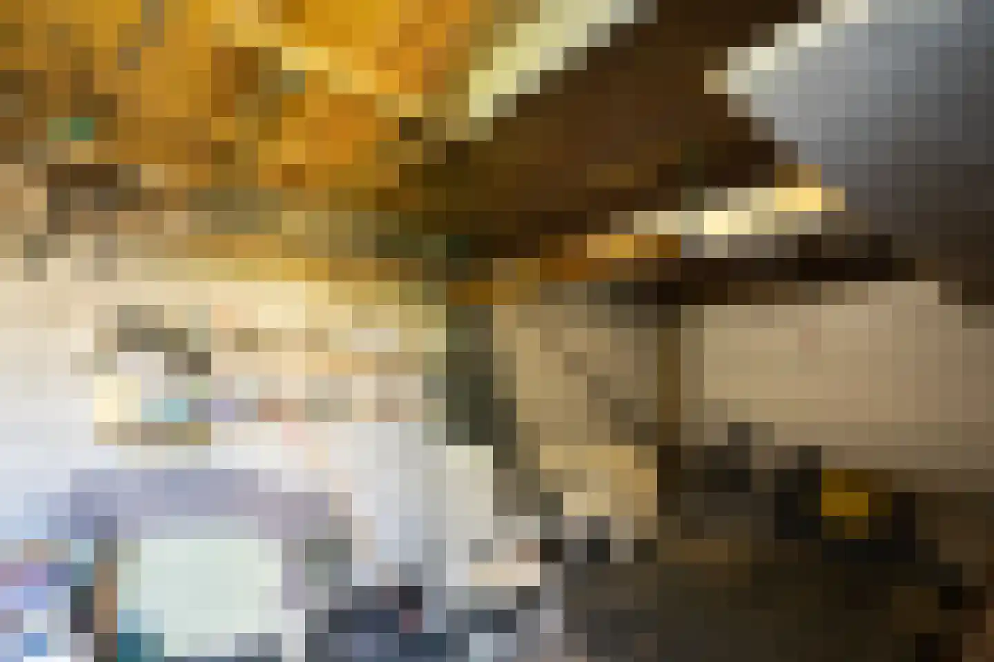 Rosendael 5 Landsmeer thumbnail 18