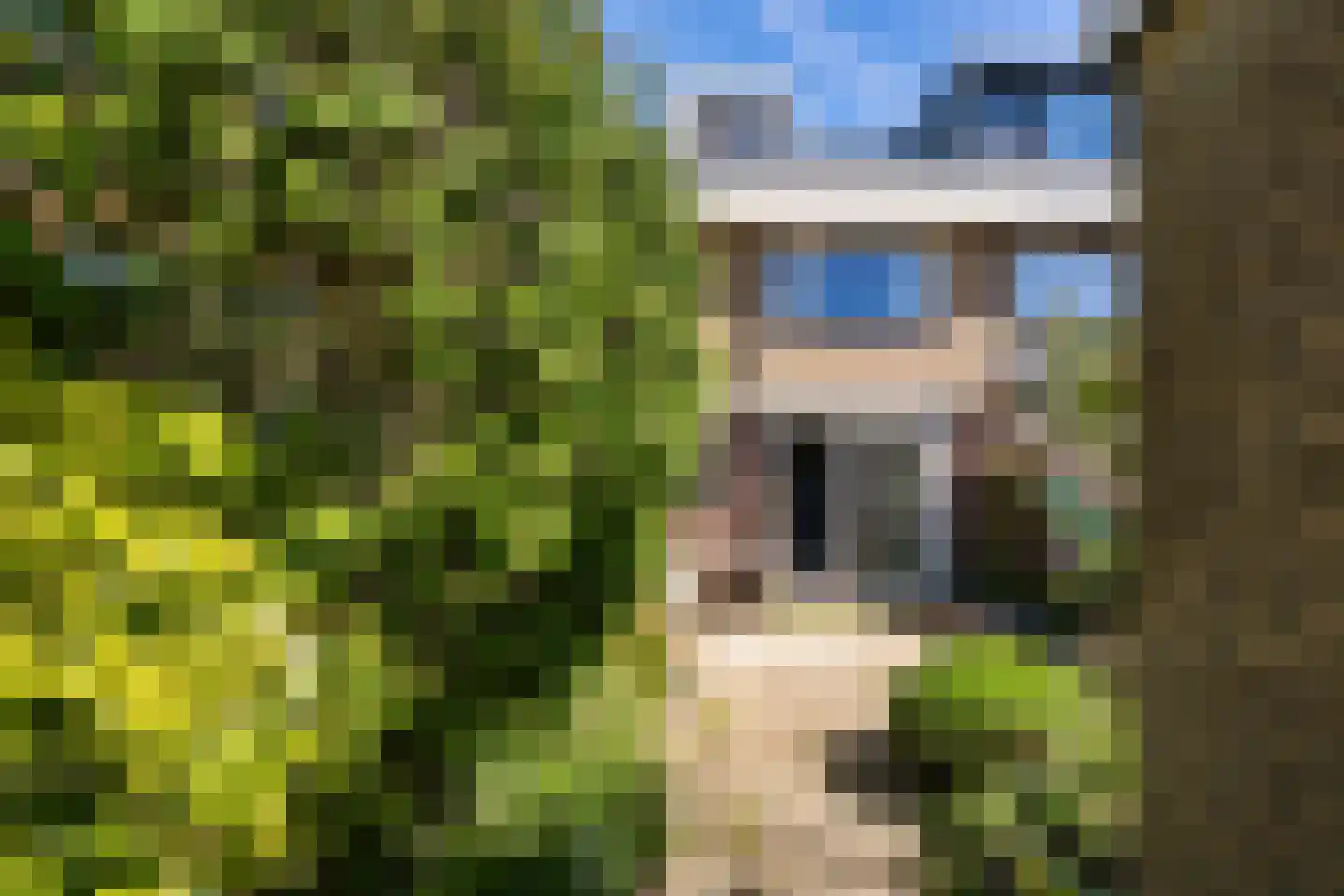 Rosendael 5 Landsmeer thumbnail 19