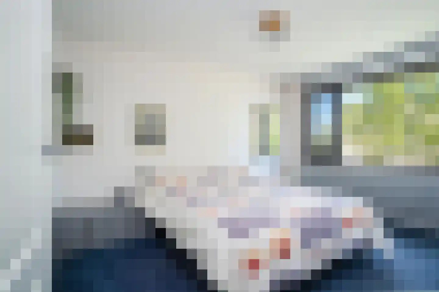 Rosendael 5 Landsmeer thumbnail 20