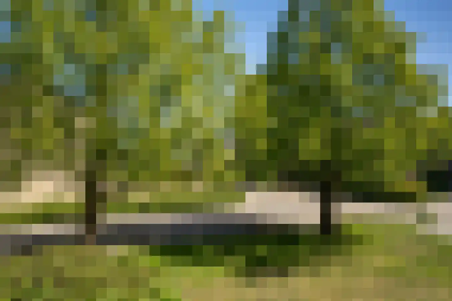 Rosendael 5 Landsmeer thumbnail 27