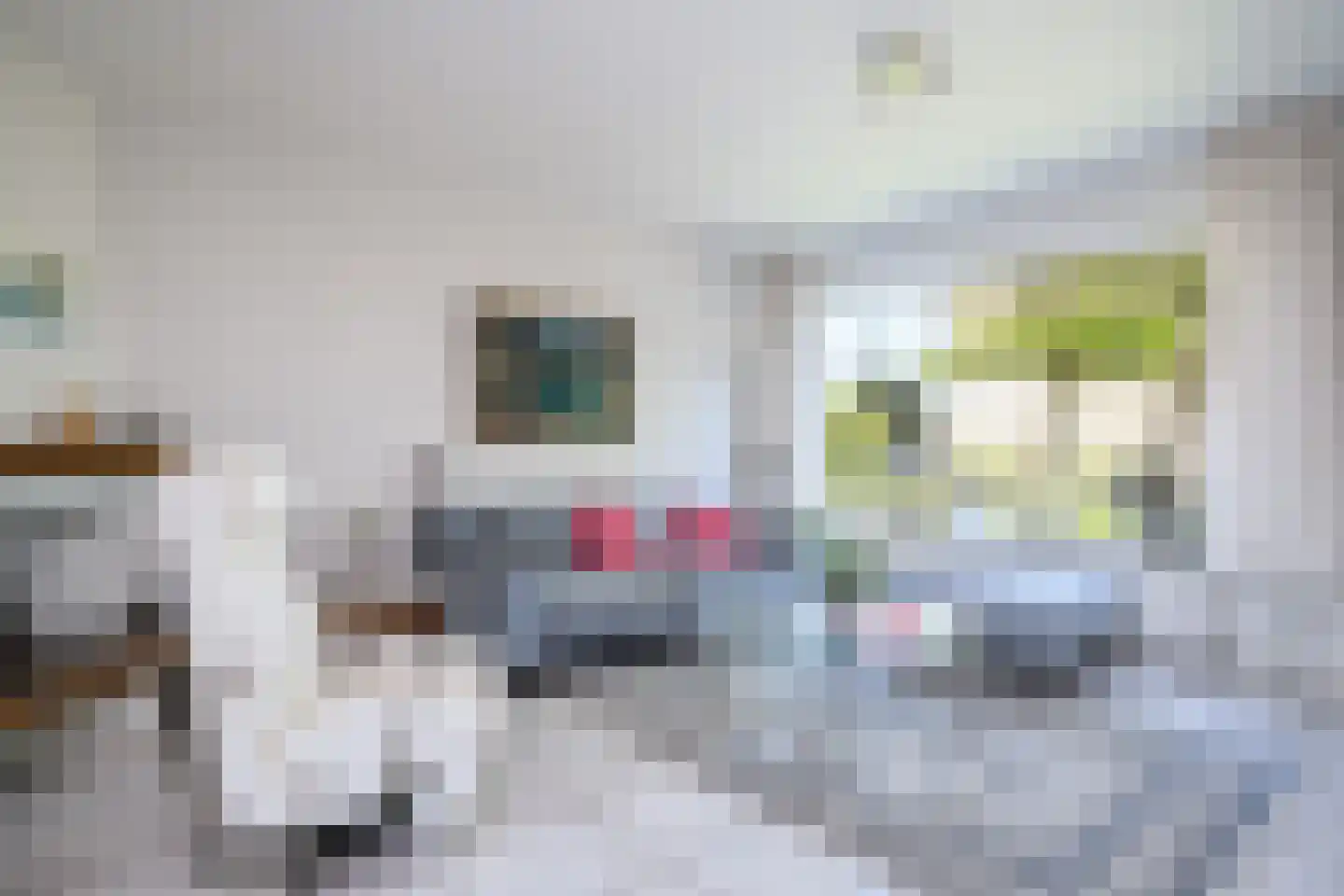 Rosendael 5 Landsmeer thumbnail 8