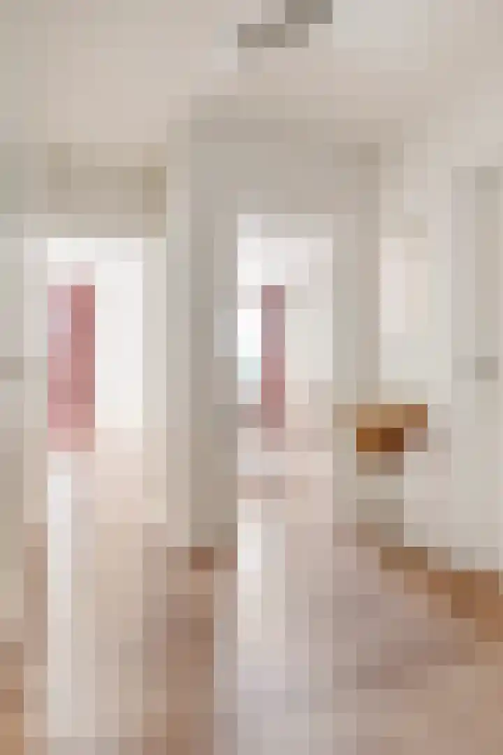 Rösener Manzstraat 153 D Rotterdam thumbnail 13