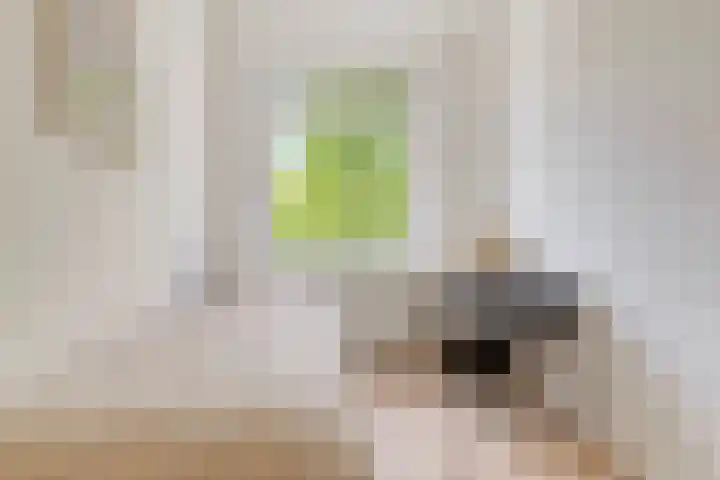 Rösener Manzstraat 153 D Rotterdam thumbnail 42