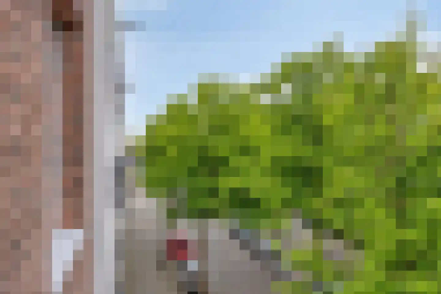 Rösener Manzstraat 163 C Rotterdam thumbnail 14