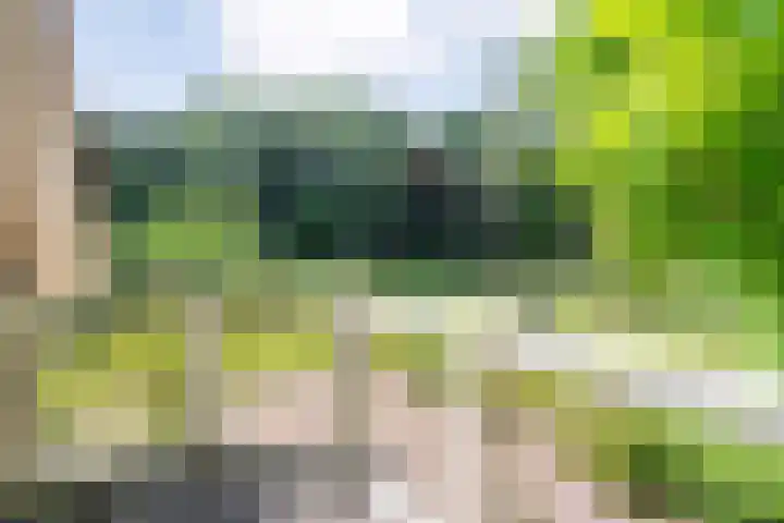 Rosengaardeweg 38 Dalfsen thumbnail 31