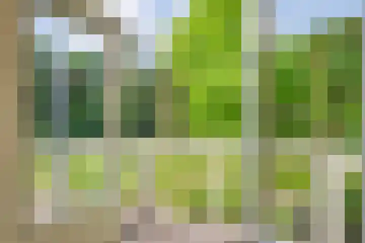 Rosengaardeweg 38 Dalfsen thumbnail 32