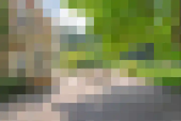 Rosengaardeweg 38 Dalfsen thumbnail 33