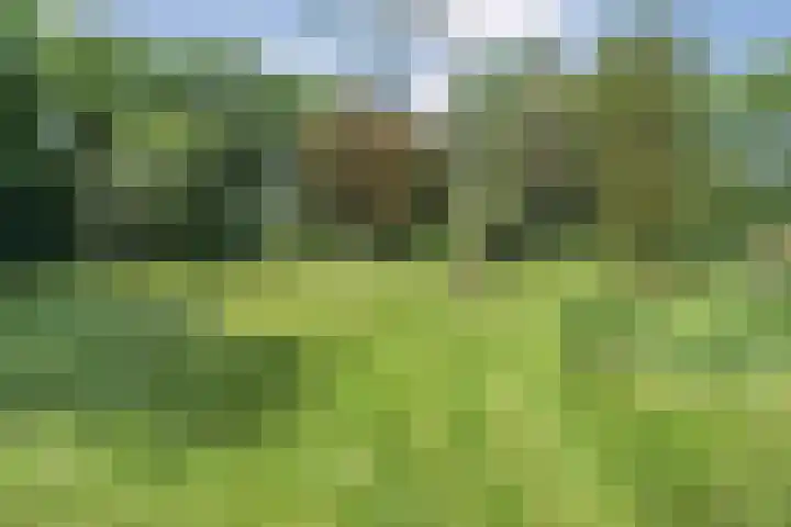Rosengaardeweg 38 Dalfsen thumbnail 38