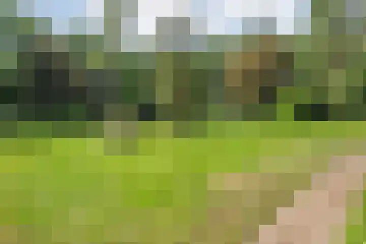 Rosengaardeweg 38 Dalfsen thumbnail 41