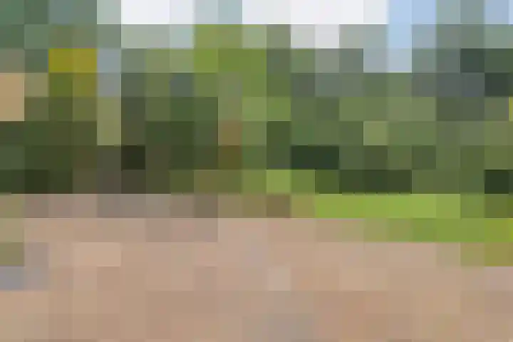 Rosengaardeweg 38 Dalfsen thumbnail 42