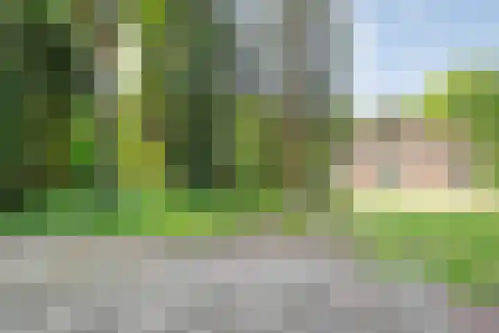 Rosengaardeweg 38 Dalfsen thumbnail 44