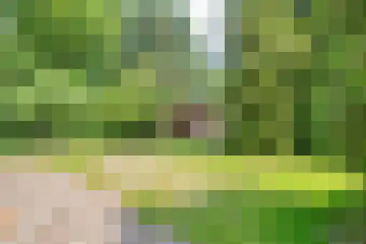 Rosengaardeweg 38 Dalfsen thumbnail 45