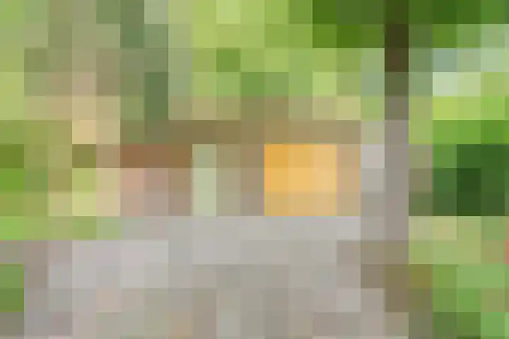 Rosengaardeweg 38 Dalfsen thumbnail 46