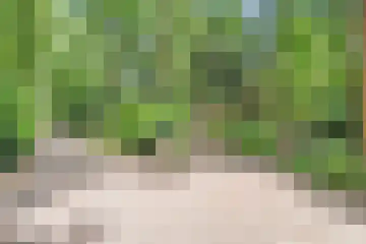 Rosengaardeweg 38 Dalfsen thumbnail 47