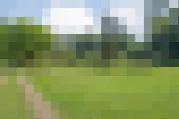Rosengaardeweg 38 Dalfsen thumbnail 48
