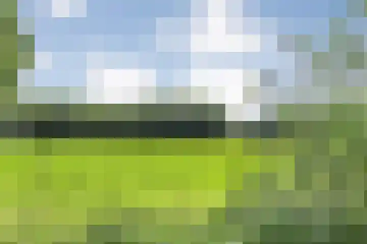 Rosengaardeweg 38 Dalfsen thumbnail 49