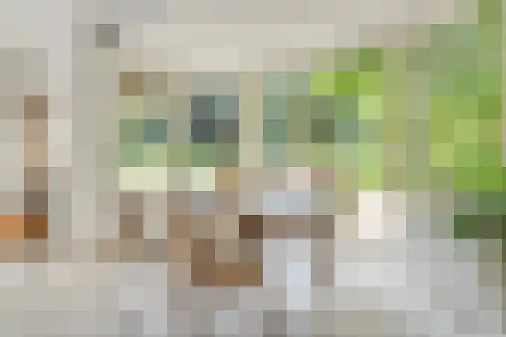 Rosengaardeweg 38 Dalfsen thumbnail 5
