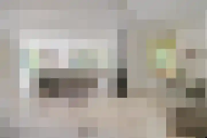 Rosengaardeweg 38 Dalfsen thumbnail 7