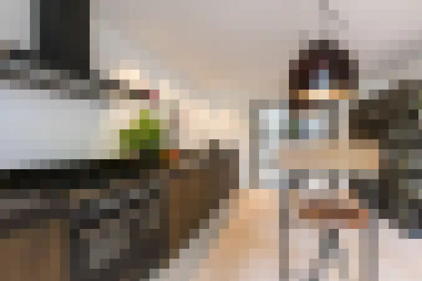 Rosenhofstraat 10 Liempde thumbnail 11