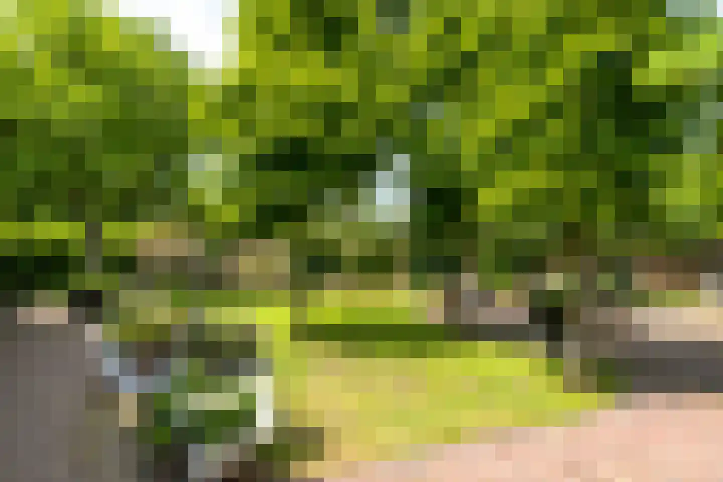 Rosenhofstraat 10 Liempde thumbnail 24