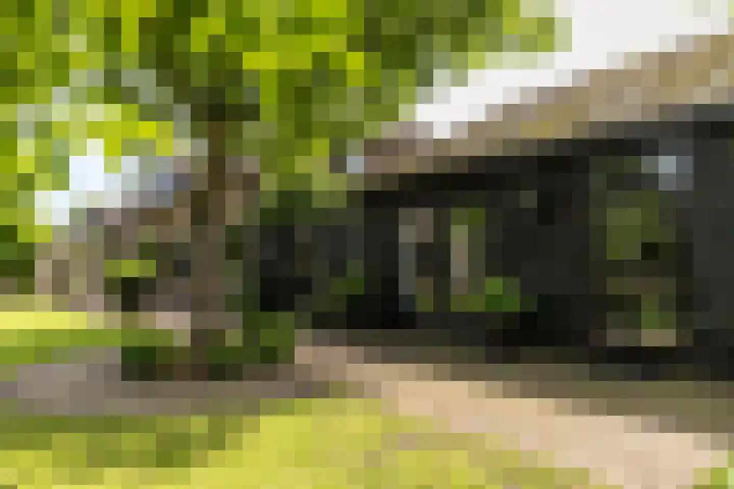 Rosenhofstraat 10 Liempde thumbnail 25