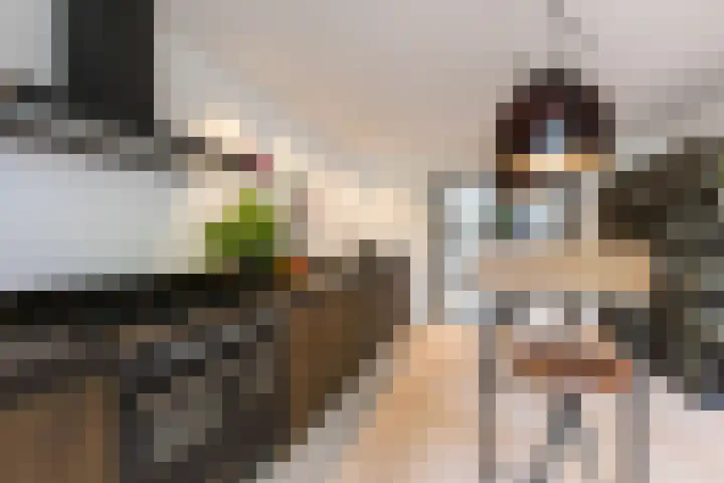 Rosenhofstraat 10 Liempde thumbnail 4