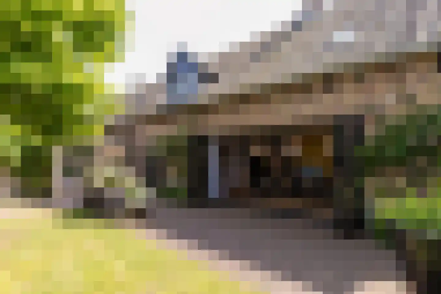 Rosenhofstraat 10 Liempde thumbnail 9