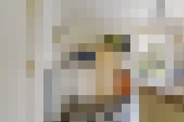 Rosenhofstraat 36 Liempde thumbnail 24