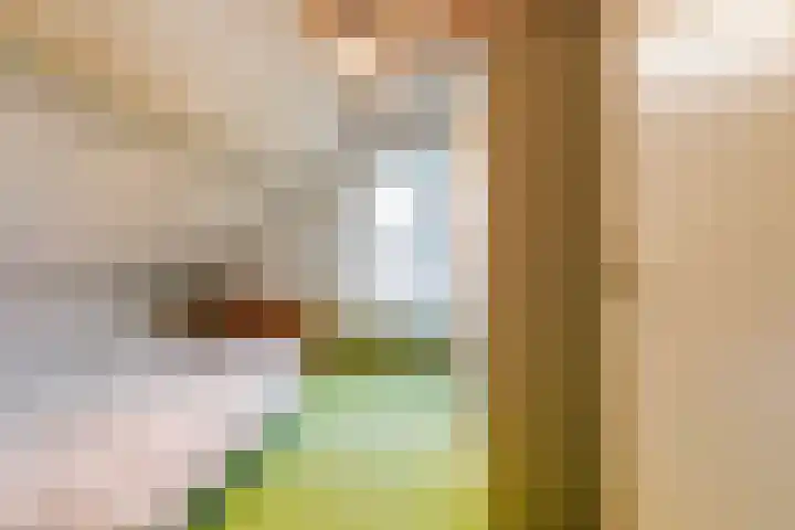 Rosenhofstraat 36 Liempde thumbnail 32