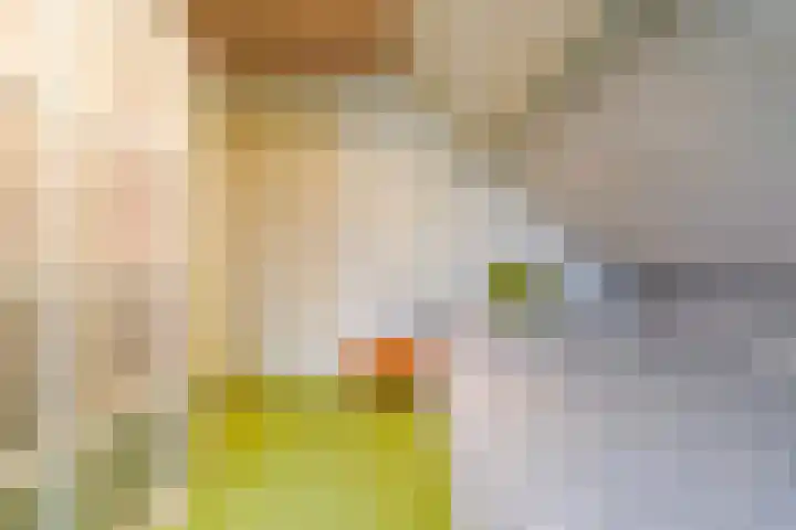 Rosenhofstraat 36 Liempde thumbnail 33
