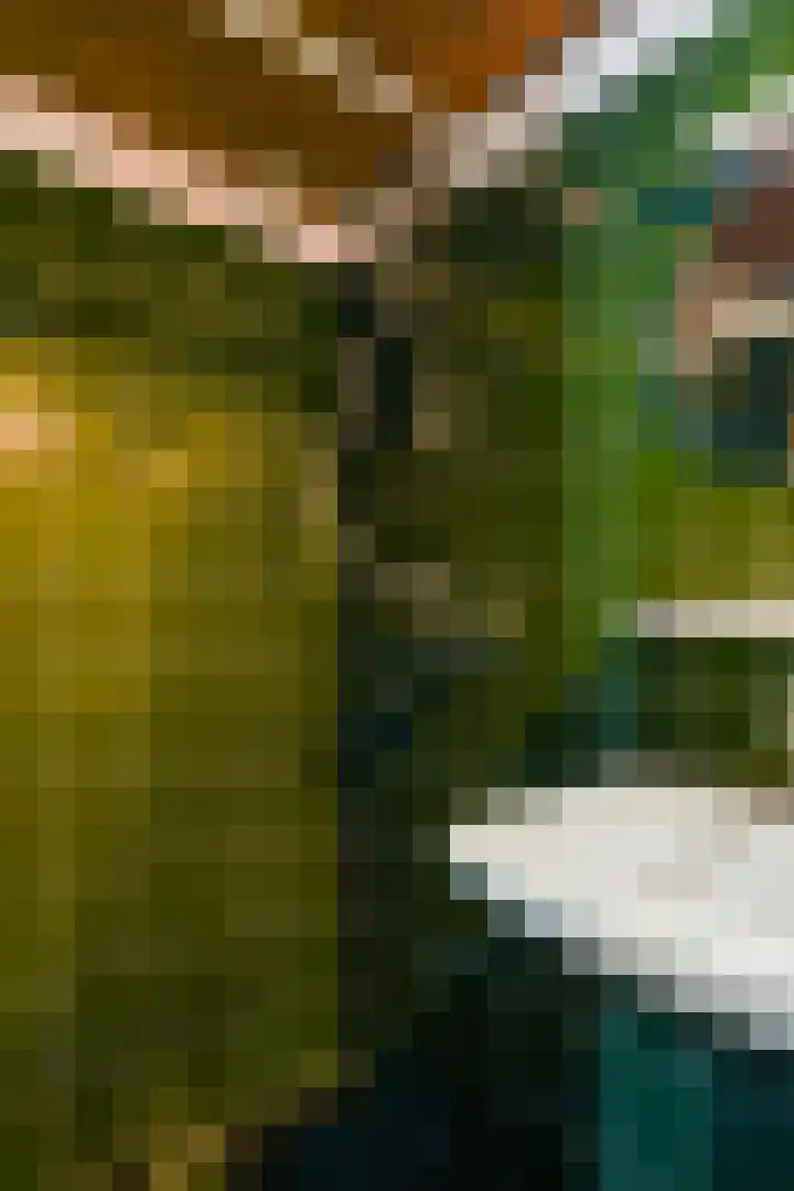 Rosenhofstraat 36 Liempde thumbnail 41