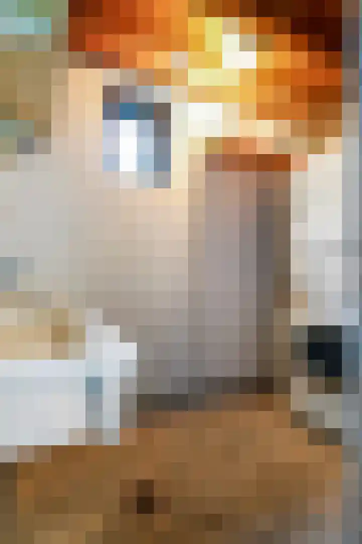 Rosenhofstraat 36 Liempde thumbnail 45