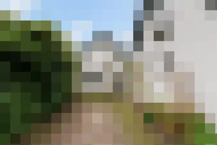 Rosenhofstraat 36 Liempde thumbnail 46