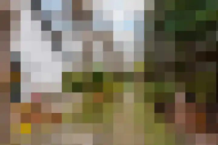 Rosenhofstraat 36 Liempde thumbnail 47