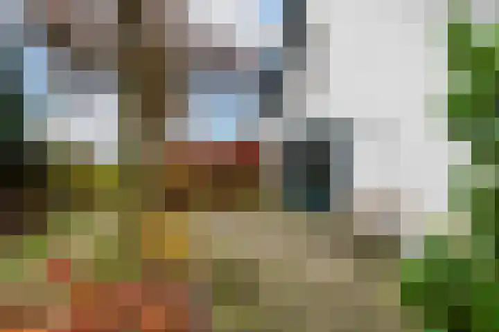 Rosenhofstraat 36 Liempde thumbnail 48