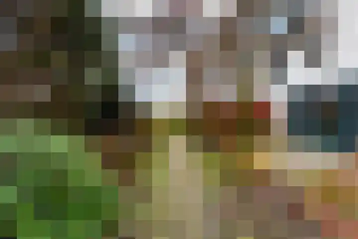 Rosenhofstraat 36 Liempde thumbnail 49