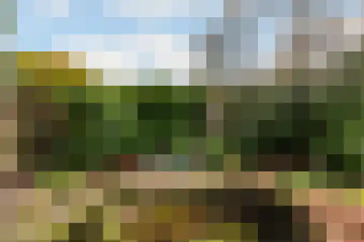 Rosenhofstraat 36 Liempde thumbnail 58